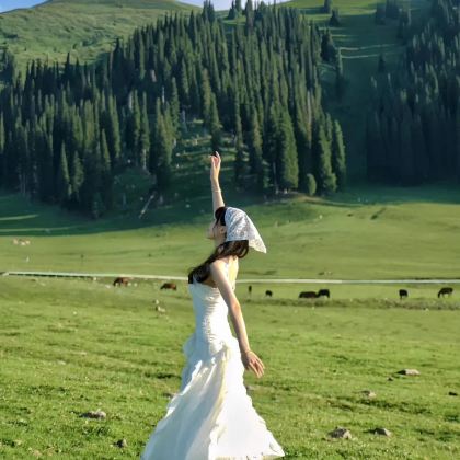 新疆北疆+伊犁5日4晚私家团