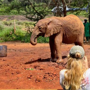 肯尼亚5日4晚私家团