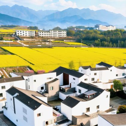 安吉+桐庐+莫干山风景名胜区8日7晚私家团