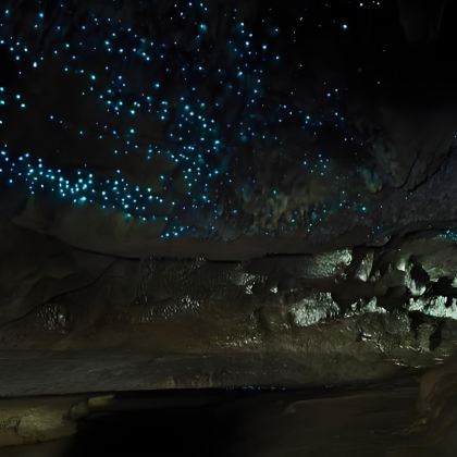 新西兰10日8晚拼小团