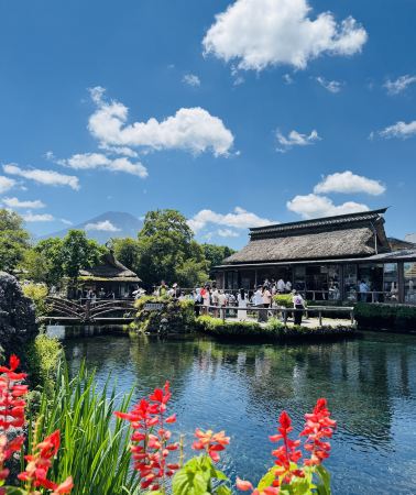 6日5晚 • 日本關東一地東京迪士尼樂園＋富士山＋箱根