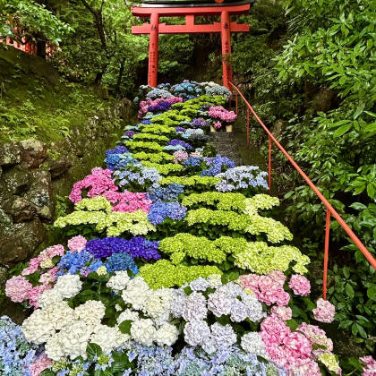 日本东京+富士山+大阪+京都+奈良市8日7晚跟团游