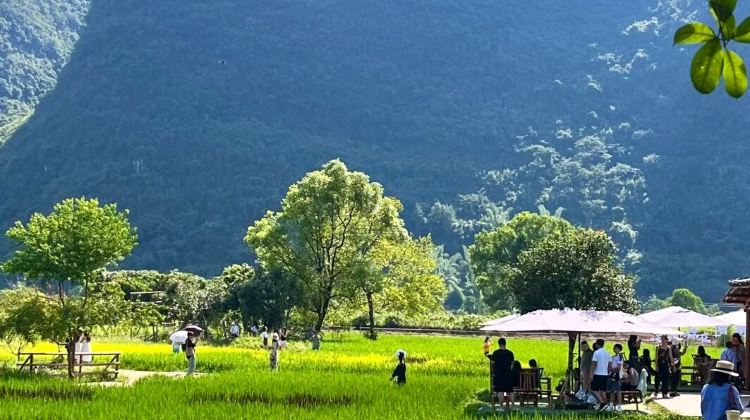 6D5N · Group Tours ·  Include all tips + China's Most Beautiful Scenic Route: Guilin Li River 4-star Cruise + Longji Rice Terraces include round-trip cable car + Yangshuo