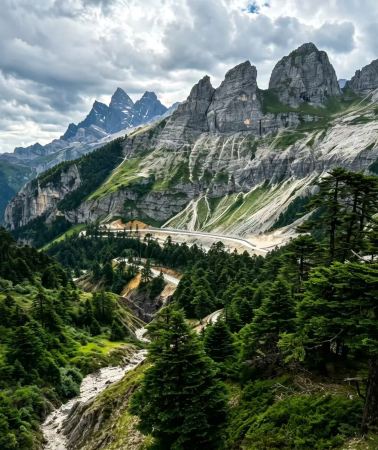 2D1N • Shangri-La: Balagezong Scenic Area + Napahai Lake + Dukezong Ancient City