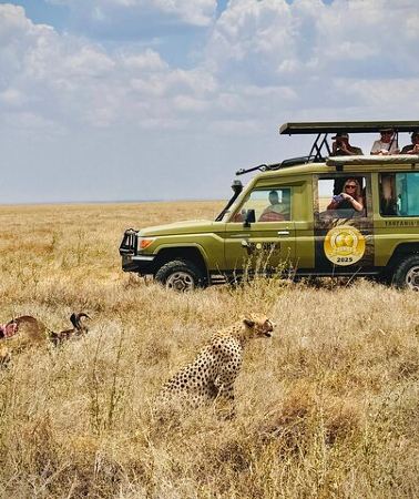 3D2N • 3-Day Classic Serengeti Safari
