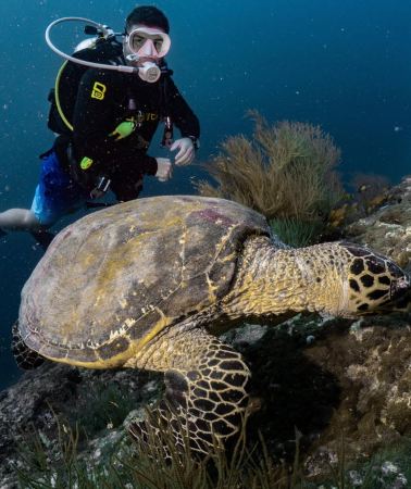 3D2N • Dive course on Isla Grosa from San Pedro del Pinatar