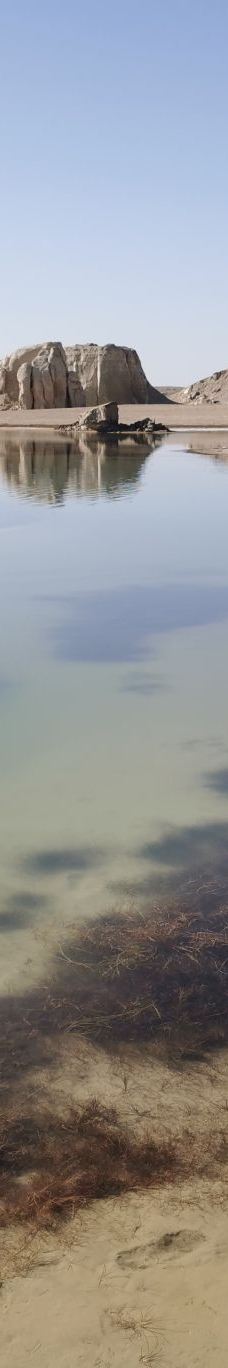 乌素特水上雅丹地质公园-格尔木