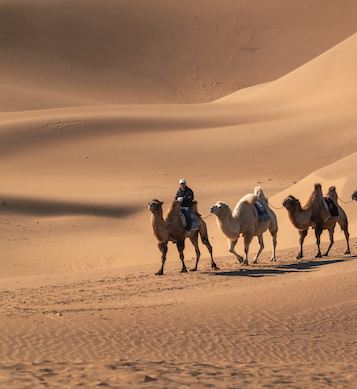 内蒙古呼和浩特+希拉穆仁草原+响沙湾4日跟团游