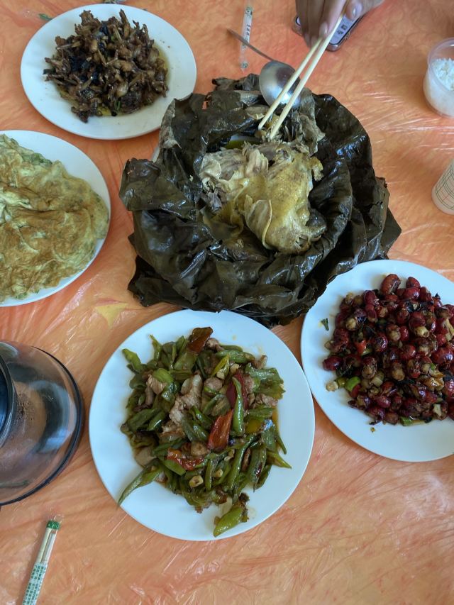 芙蓉国里君山野生荷花世界旅行图片 1