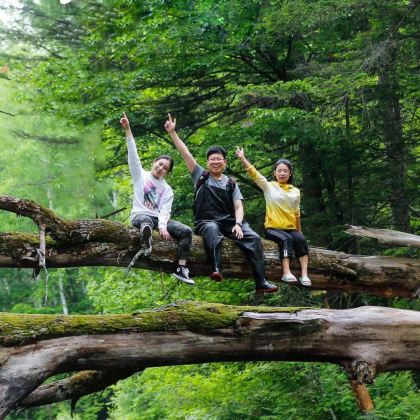 吉林长白山北坡景区+长白山西坡景区3日2晚跟团游