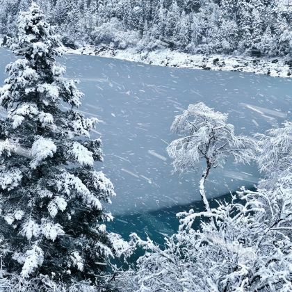 成都+九寨沟+都江堰+三星堆博物馆6日5晚私家团