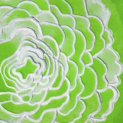 青海+西宁+格尔木+玉树市10日9晚私家团