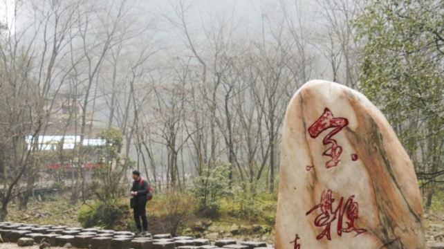 11-Day Historical and Natural China Private Tour from Beijing to Shanghai·Xi’an and Zhangjiajie丨Tiananmen Square, Terracotta Warriors,  Zhangjiajie National Forest Park and The Bund