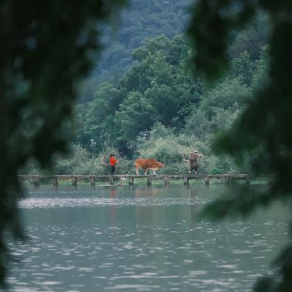 丽水+松阳+缙云+云和5日4晚拼小团