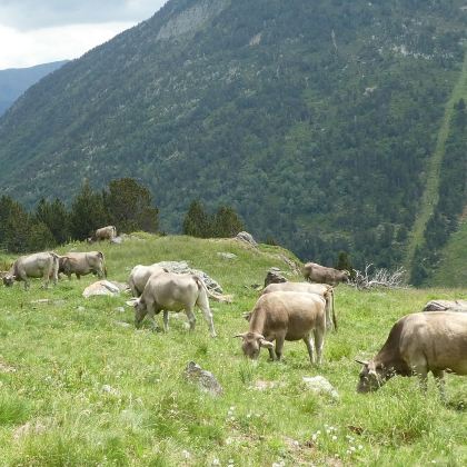 西班牙巴塞罗那+安道尔+巴黎+兰斯+卢森堡+法兰克福8日7晚跟团游