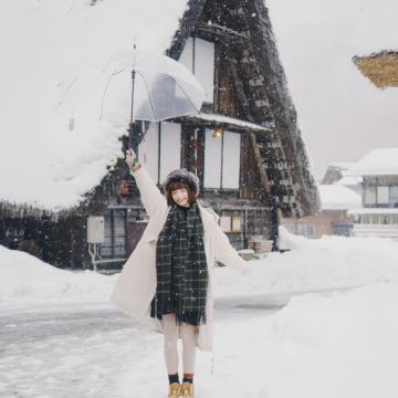 日本名古屋+飞驒高山+金泽+下吕市7日6晚私家团