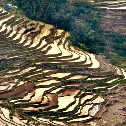 云南昆明+抚仙湖+普者黑风景区+弥勒5日4晚拼小团