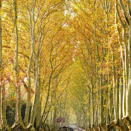 华东5市+乌镇6日5晚跟团游