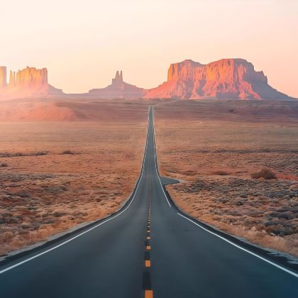 美国20日16晚跟团游