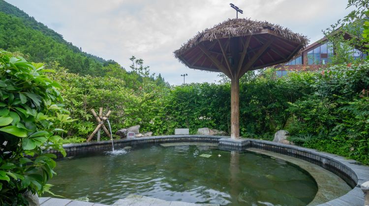 5D4N · Group Tours · A deep dive into Jinfo Mountain, the Three Natural Bridges, and the city's heart – Fall from the grassy sea into the dazzling sea of lights at Jiefangbei