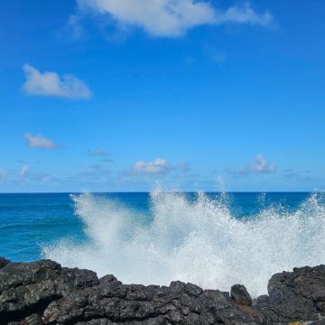 毛里求斯+马达加斯加10日8晚拼小团