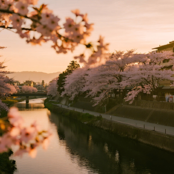 日本大阪+京都+和歌山市+白滨町8日7晚私家团