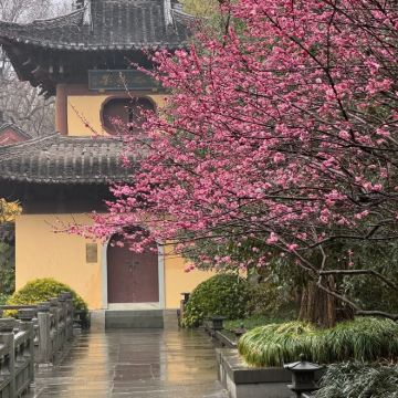 夫子庙秦淮风光带+明孝陵+音乐台+玄武湖景区3日2晚私家团