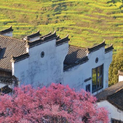 江西南昌+庐山风景名胜区+景德镇+婺源+三清山风景区5日4晚跟团游