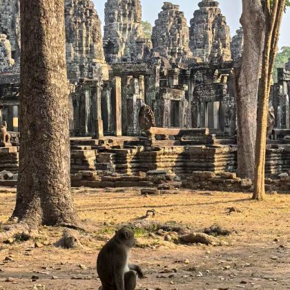 柬埔寨金边+暹粒8日7晚私家团