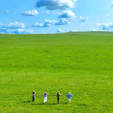 沈阳+丹东+长白山+镜泊湖风景区+哈尔滨+齐齐哈尔+呼伦贝尔大草原+满洲里+额尔古纳+漠河+黑河+五大连池市+伊春16日15晚跟团游