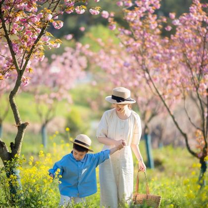 济南+泰山风景区+曲阜+淄博7日6晚私家团
