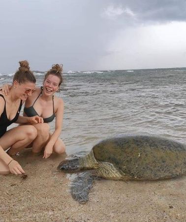14D13N • 14 Days Tour in Sri Lanka (Hotels with Breakfast & Luxury Car)