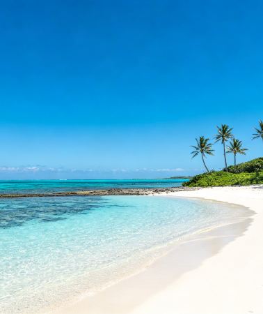 5D4N • Japan + Okinawa Prefecture Free one-on-one personalized travel itinerary customization available