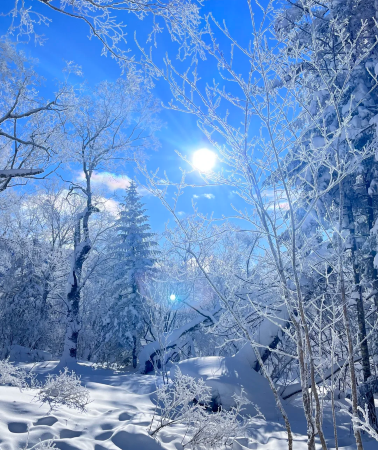 5天4晚 • 長春＋長白山＋延吉5天4夜跟團遊