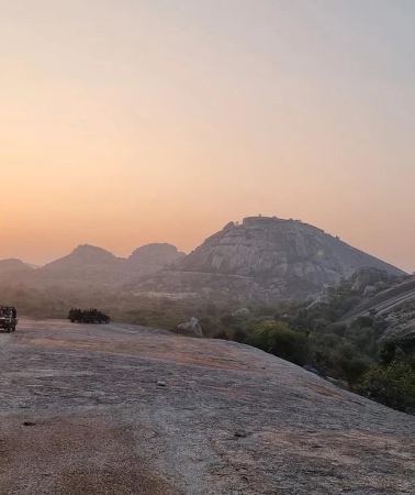 2D1N • Udaipur: 2-Day Jawai Leopard Safari with Ranakpur Temple