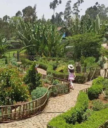 2D1N • Addis Ababa: Zoma Museum Art and Architecture Guided Tour