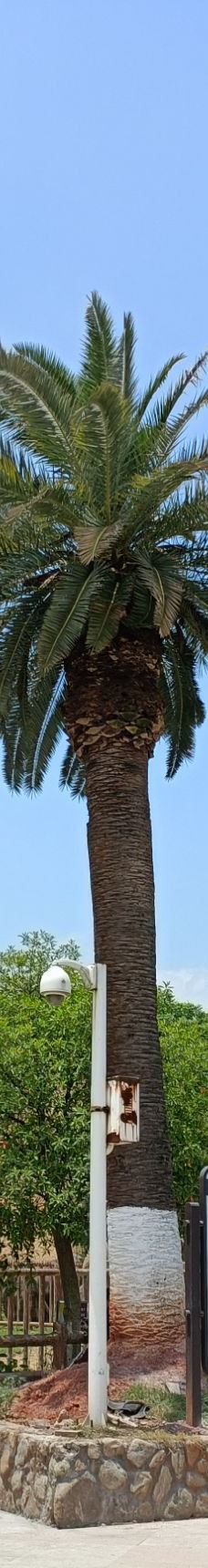 南昌动物园-南昌