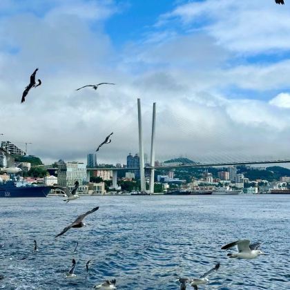 俄罗斯海参崴5日4晚拼小团