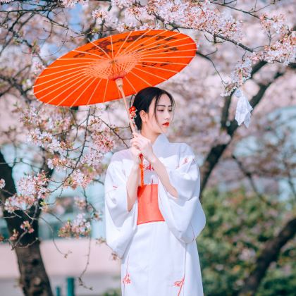 日本北海道旭川+富良野7日6晚私家团