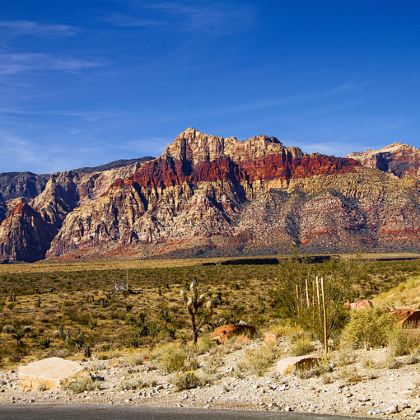 美国+西雅图7日5晚私家团
