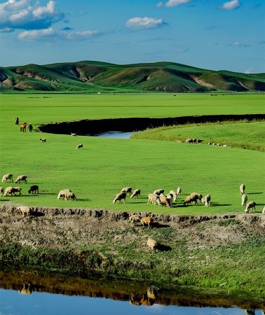 5D4N • Hulunbuir + Ergun + ManzhouliEnjoy grass skiing and horseback riding on the grasslands