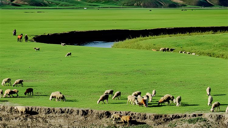 6-Day Hulunbuir + Ergun + Manzhouli