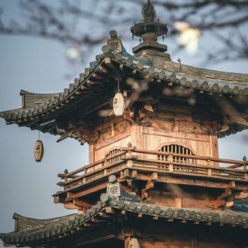 无锡灵山胜境+无锡市太湖鼋头渚风景区2日1晚私家团