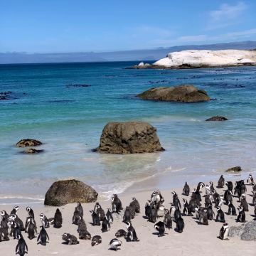 南非开普敦+博茨瓦纳8日7晚私家团