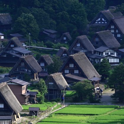 日本飞驒高山+下吕市+名古屋7日6晚自由行