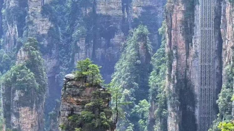 4D3N · Private Tours · Zhangjiajie National Forest Park + Tianzishan + Tianmen Mountain National Forest Park