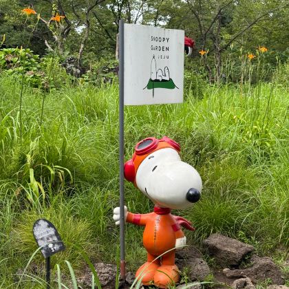 韩国济州岛4日3晚私家团