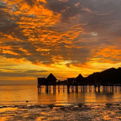 斐济8日7晚私家团