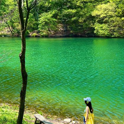 沈阳+长白山+延吉7日6晚跟团游