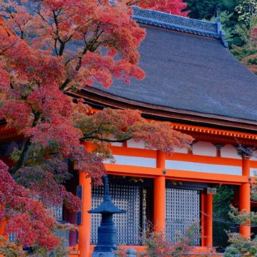日本东京+箱根+京都+大阪8日7晚私家团